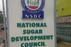 Nigeria’s High Production Costs Threaten Manufacturing Competitiveness, NSDC Warns